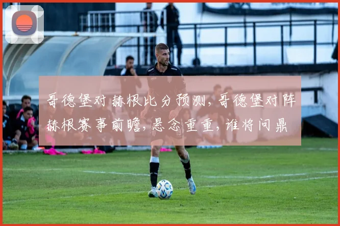 哥德堡对赫根比分预测,哥德堡对阵赫根赛事前瞻,悬念重重,谁将问鼎
