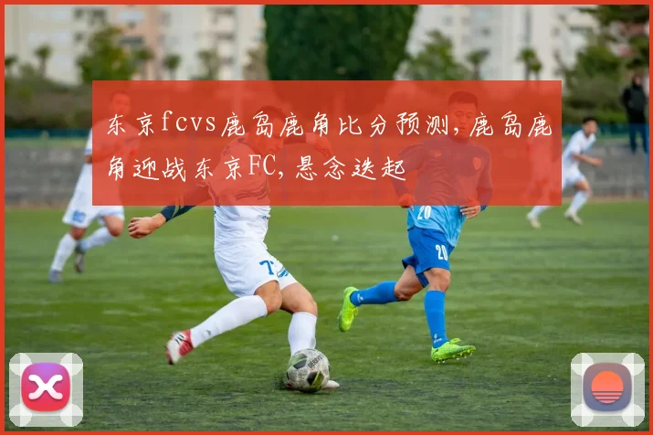 东京fcvs鹿岛鹿角比分预测,鹿岛鹿角迎战东京FC,悬念迭起