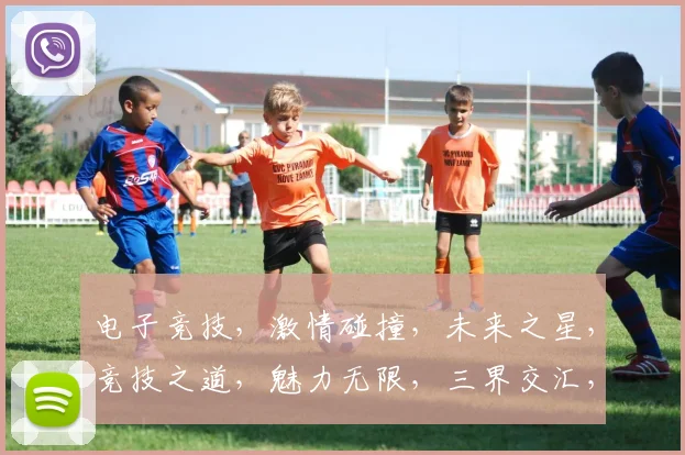 电子竞技，激情碰撞，未来之星，竞技之道，魅力无限，三界交汇，竞技盛宴。
